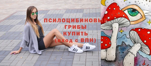 прущие крисы Белоозёрский