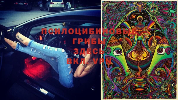 прущие крисы Белоозёрский