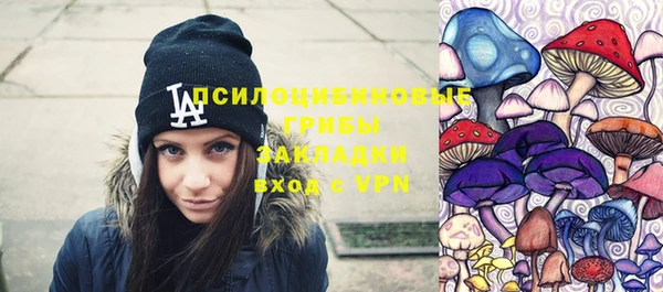 прущие крисы Белоозёрский