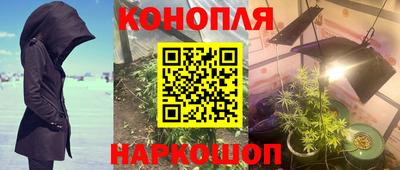 хмурый Можга