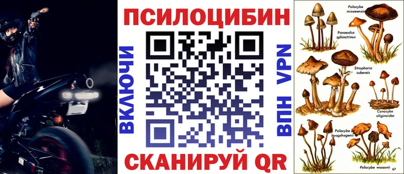 mega вход  цена наркотик  Видное  Галлюциногенные грибы MAGIC MUSHROOMS 