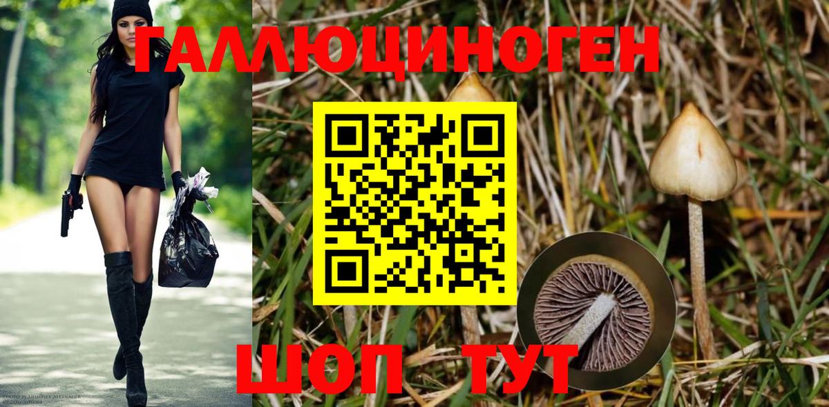 Псилоцибиновые грибы мухоморы Видное